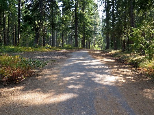 Lake Wenatchee - 108