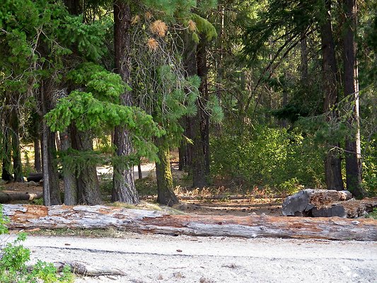 Lake Wenatchee - 53