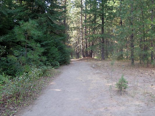 Lake Wenatchee - 121