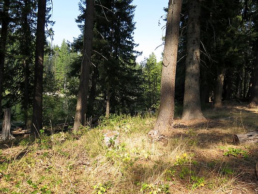 Lake Wenatchee - 88