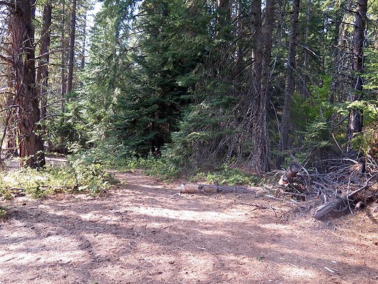 Lake Wenatchee - 143