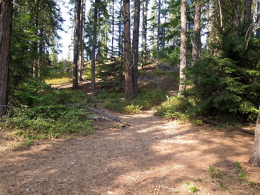 Lake Wenatchee - 145
