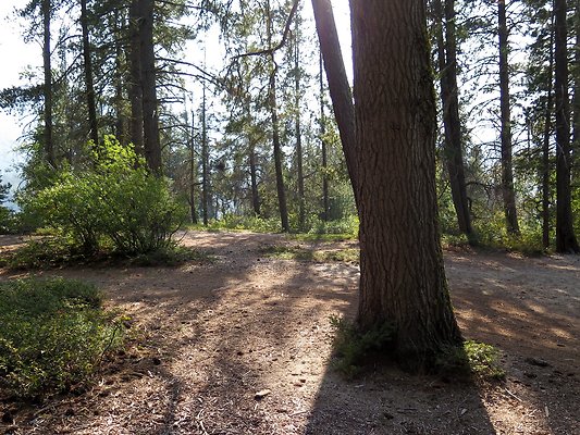 Lake Wenatchee - 158