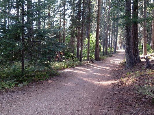 Lake Wenatchee - 137