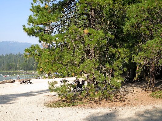 Lake Wenatchee - 25