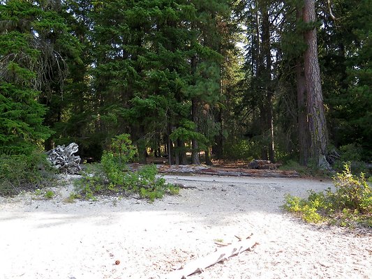 Lake Wenatchee - 50