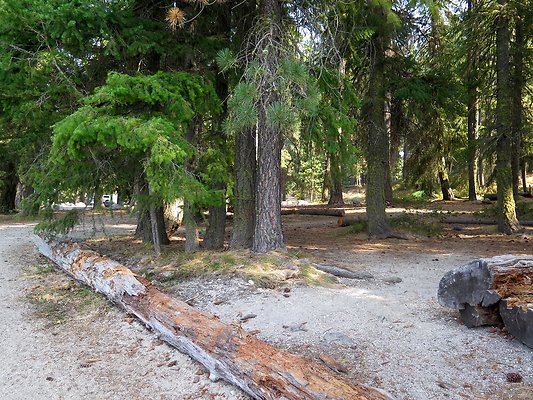 Lake Wenatchee - 38