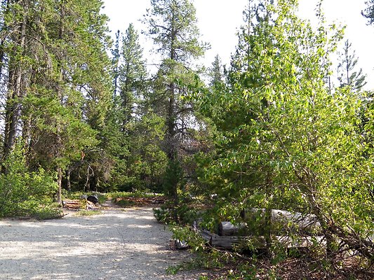 Lake Wenatchee - 169