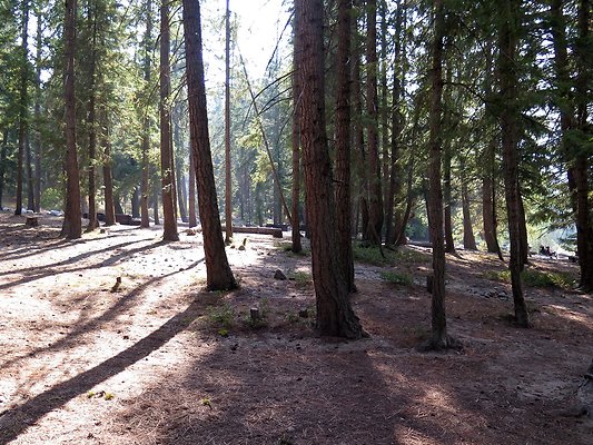 Lake Wenatchee - 7