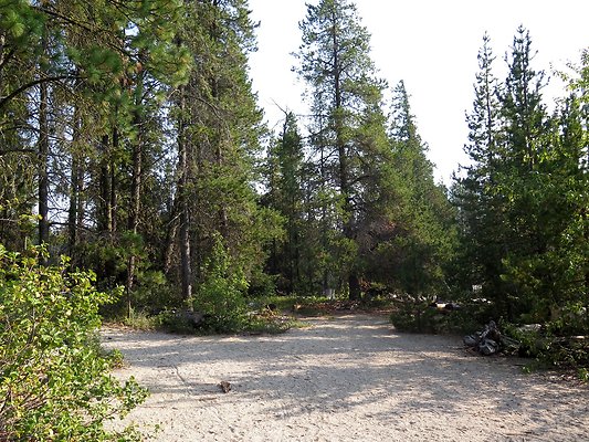 Lake Wenatchee - 183