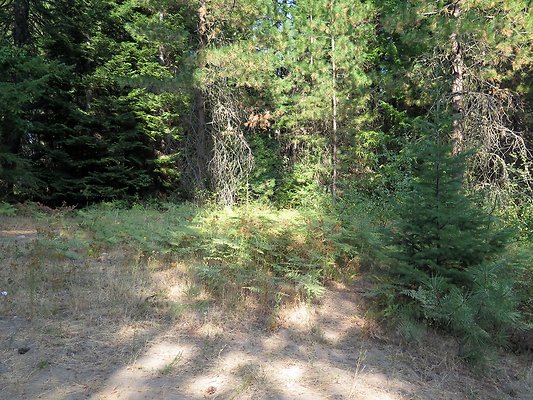 Lake Wenatchee - 124