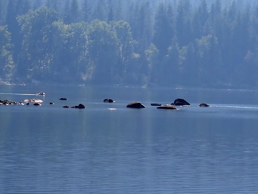 Lake Wenatchee - 152
