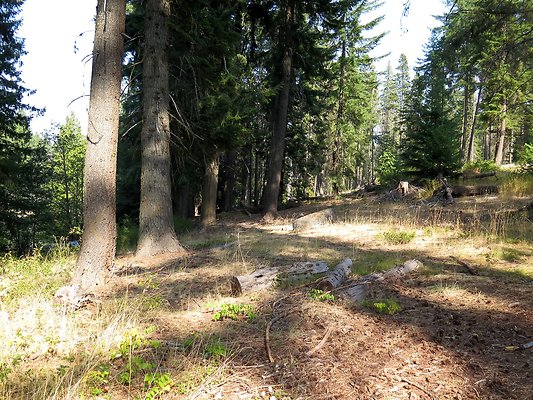 Lake Wenatchee - 89
