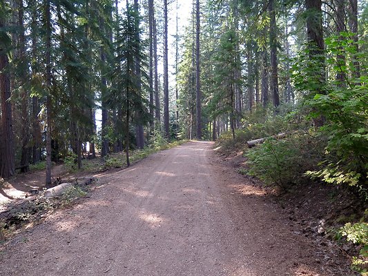 Lake Wenatchee - 131
