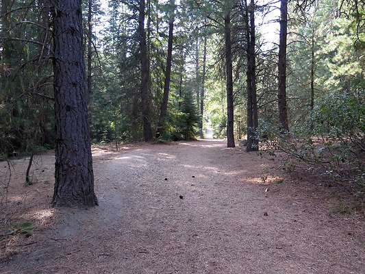 Lake Wenatchee - 128