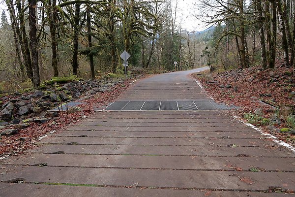 Middle Fork Campsite 1 - 41