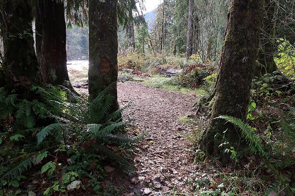 Middle Fork Campsite 1 - 17