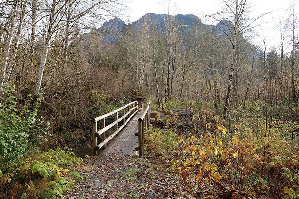 Middle Fork Campsite 1 - 6