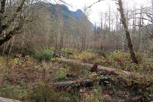 Middle Fork Campsite 1 - 4