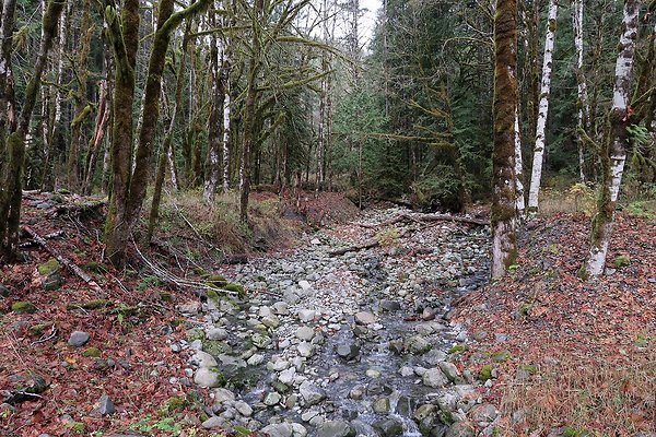 Middle Fork Campsite 1 - 45