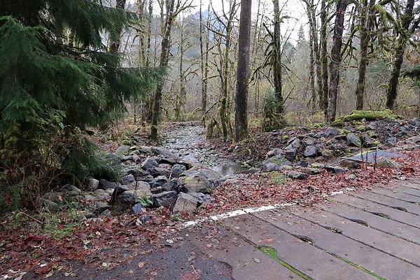 Middle Fork Campsite 1 - 40