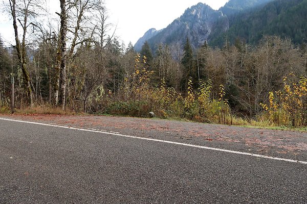 Middle Fork Campsite 1 - 36