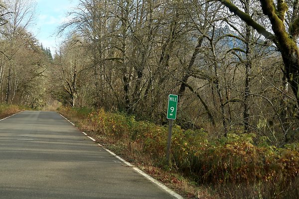 Middle Fork Campsite 1 - 10