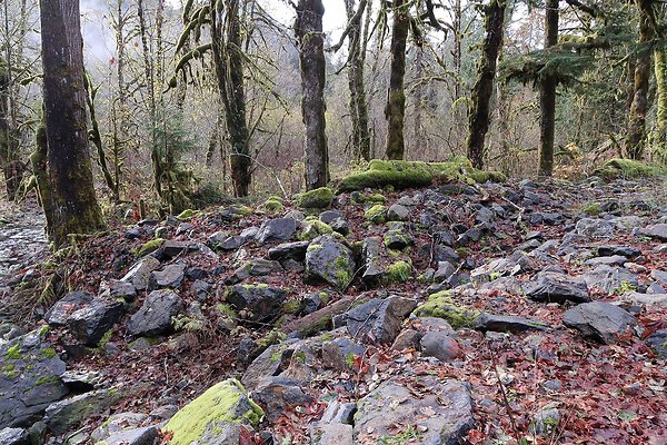 Middle Fork Campsite 1 - 50
