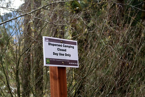 Middle Fork Campsite 1 - 12