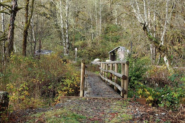 Middle Fork Campsite 1 - 8