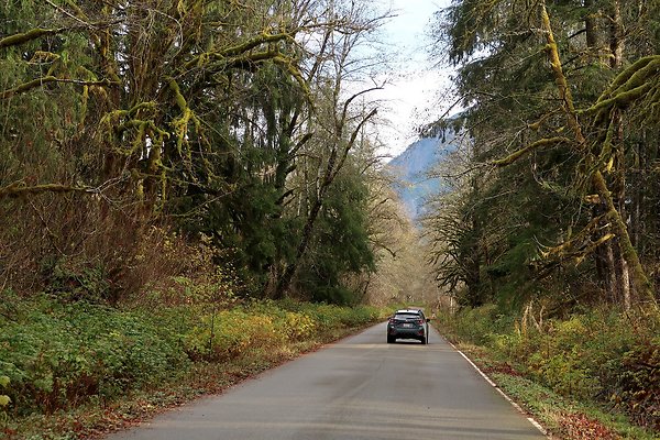 USFS Middle Fork Campground 1 Northbend area