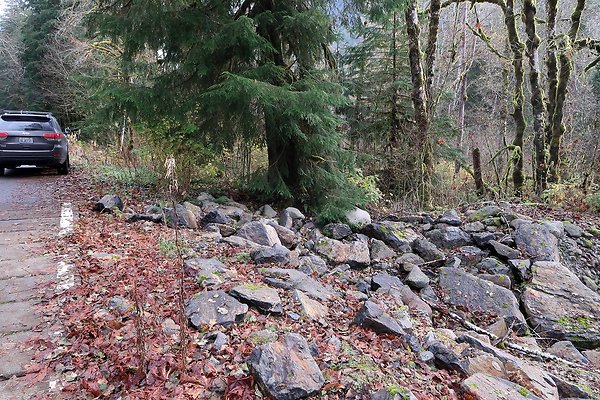 Middle Fork Campsite 1 - 47
