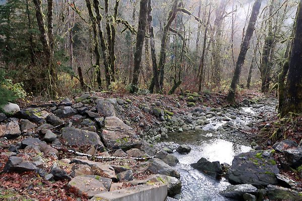 Middle Fork Campsite 1 - 48