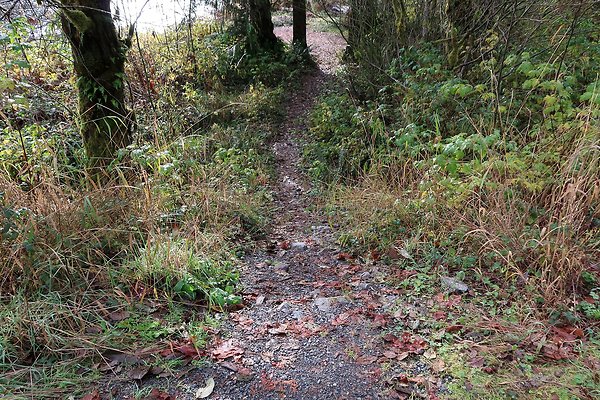 Middle Fork Campsite 1 - 14