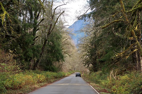 Middle Fork Campsite 1 - 2