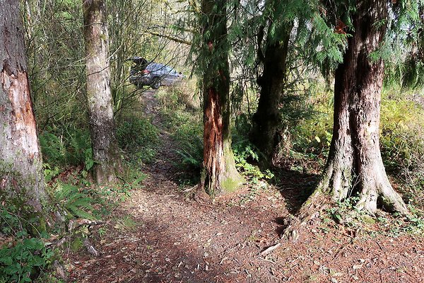 Middle Fork Campsite 1 - 29