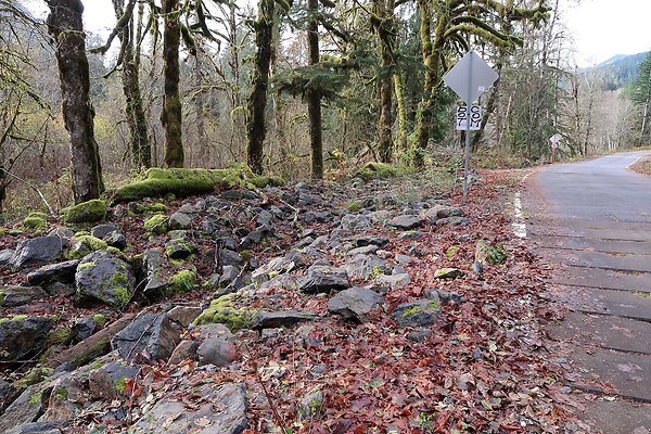 Middle Fork Campsite 1 - 51
