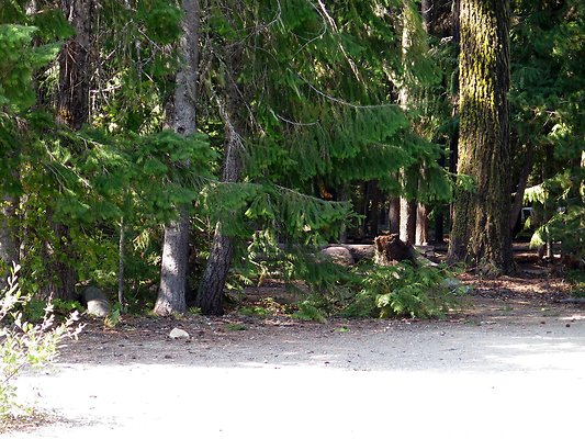 Lake kachess  - 165
