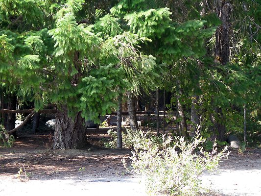 Lake kachess  - 164