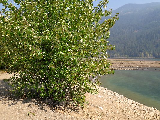 Lake kachess  - 162
