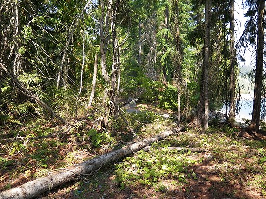 Lake kachess  - 25