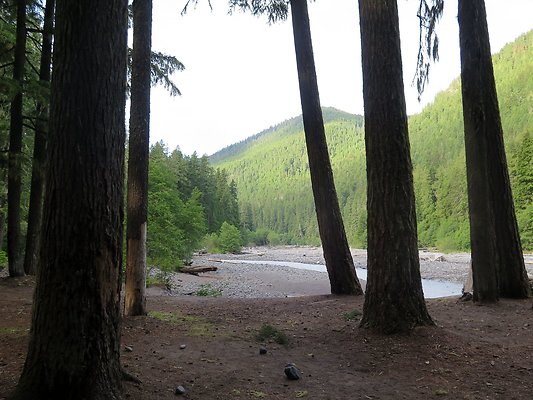 USFS WhiteRiver access - 59