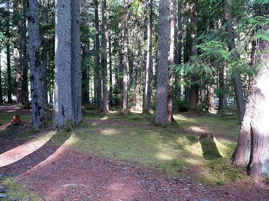 USFS WhiteRiver access - 7