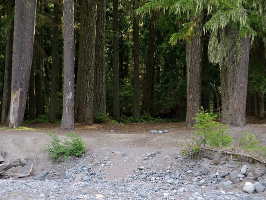 USFS WhiteRiver access - 54