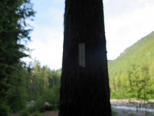 USFS WhiteRiver access - 19