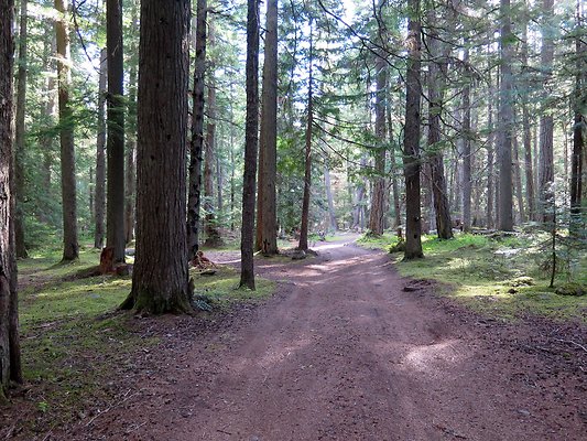 USFS White River access Crystal Mt area