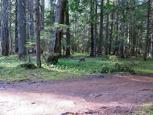 USFS WhiteRiver access - 4