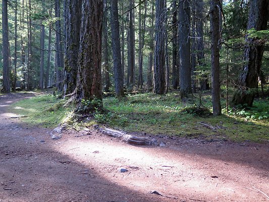 USFS WhiteRiver access - 3