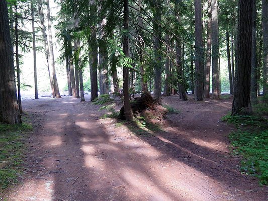 USFS WhiteRiver access - 13