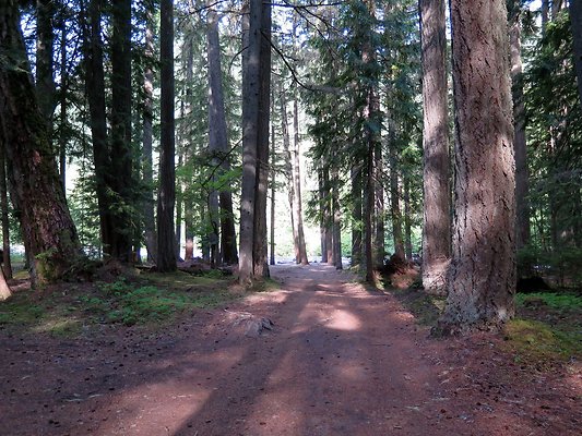 USFS WhiteRiver access - 10